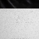 P101-0302-0056-4.webp