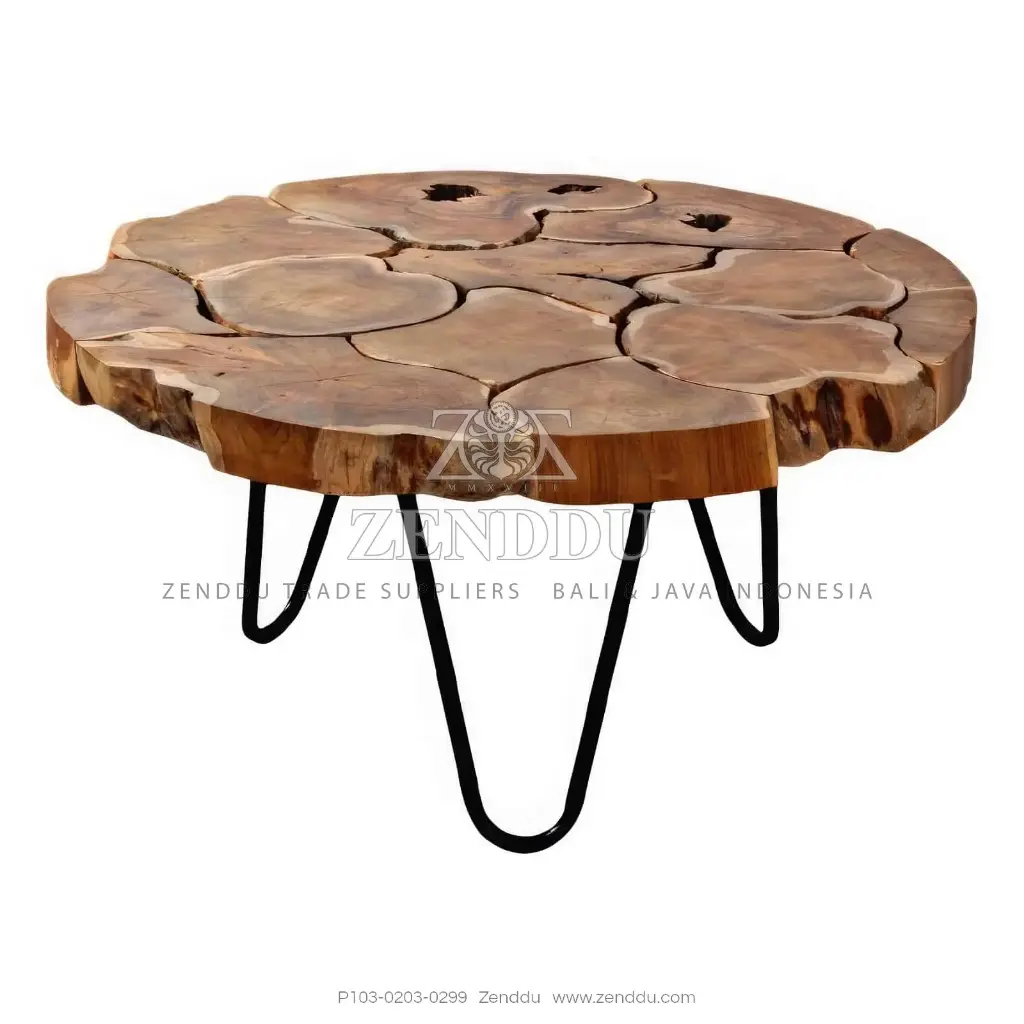 P103-0203-0299(S100)