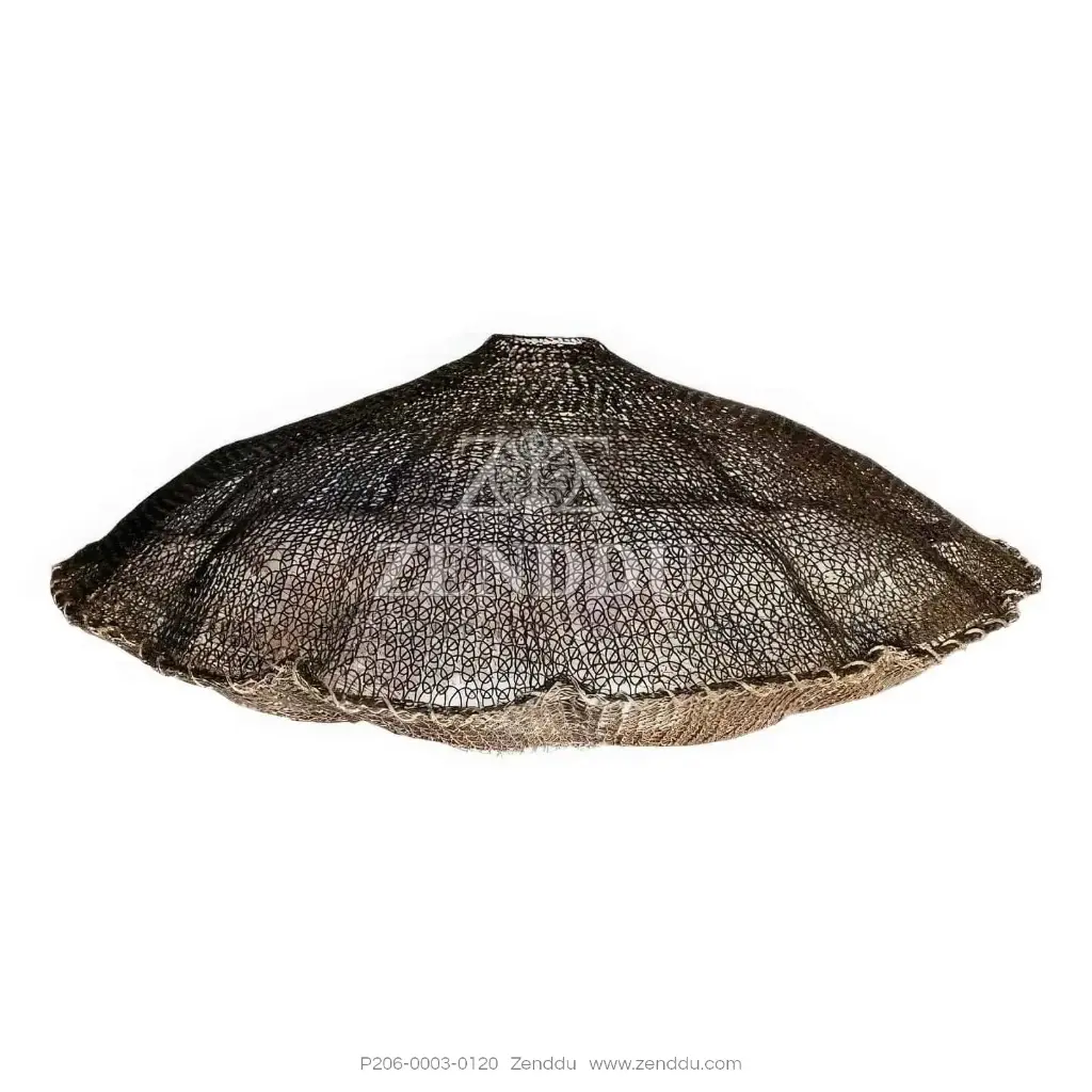 P206-0003-0120(S40)