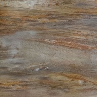 Petrified wood