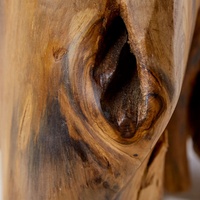 Teak root
