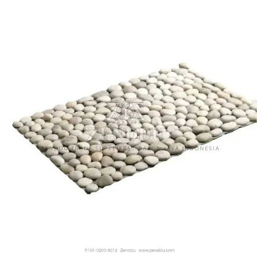 P101-0203-0012