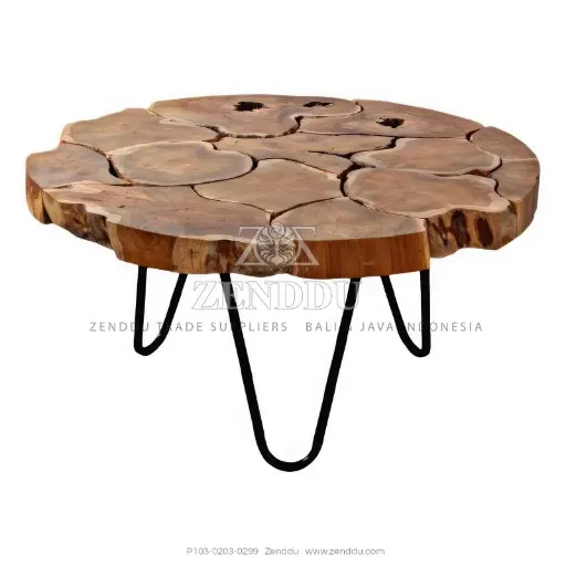 P103-0203-0299(S100)