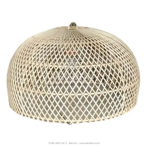 P206-0003-0313(S60)